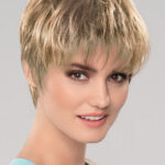 Corsica – Champagne rooted