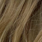 Debbie HH Remy Special – Honey blond rooted