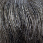Blossom – L456 Hickory