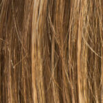 French Mono Part – Bernstein rooted