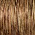 Vision Bob – 12/14/26+12