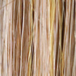 Sina – Champagne mix