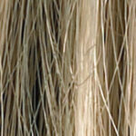 Mara – Champagne rooted