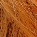 Cool – Orange-rooted