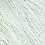 Mandy 58 groß – White mix