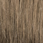 George 5-Stars – M14s