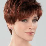 Nolay – Auburn rooted